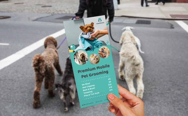  Leaflet