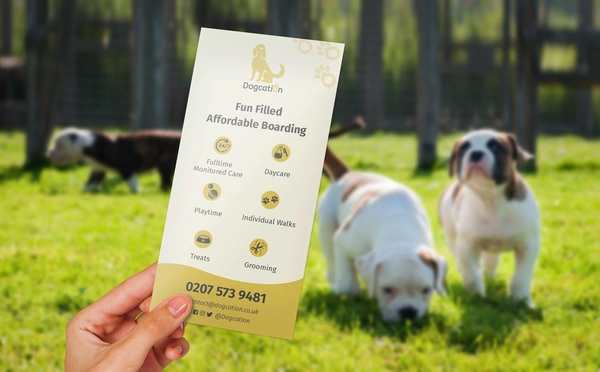  Leaflet