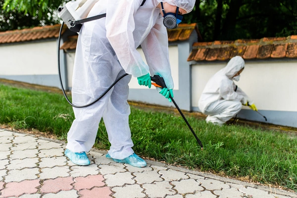  Pest Control
