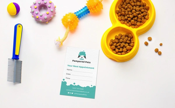  Appointment Card